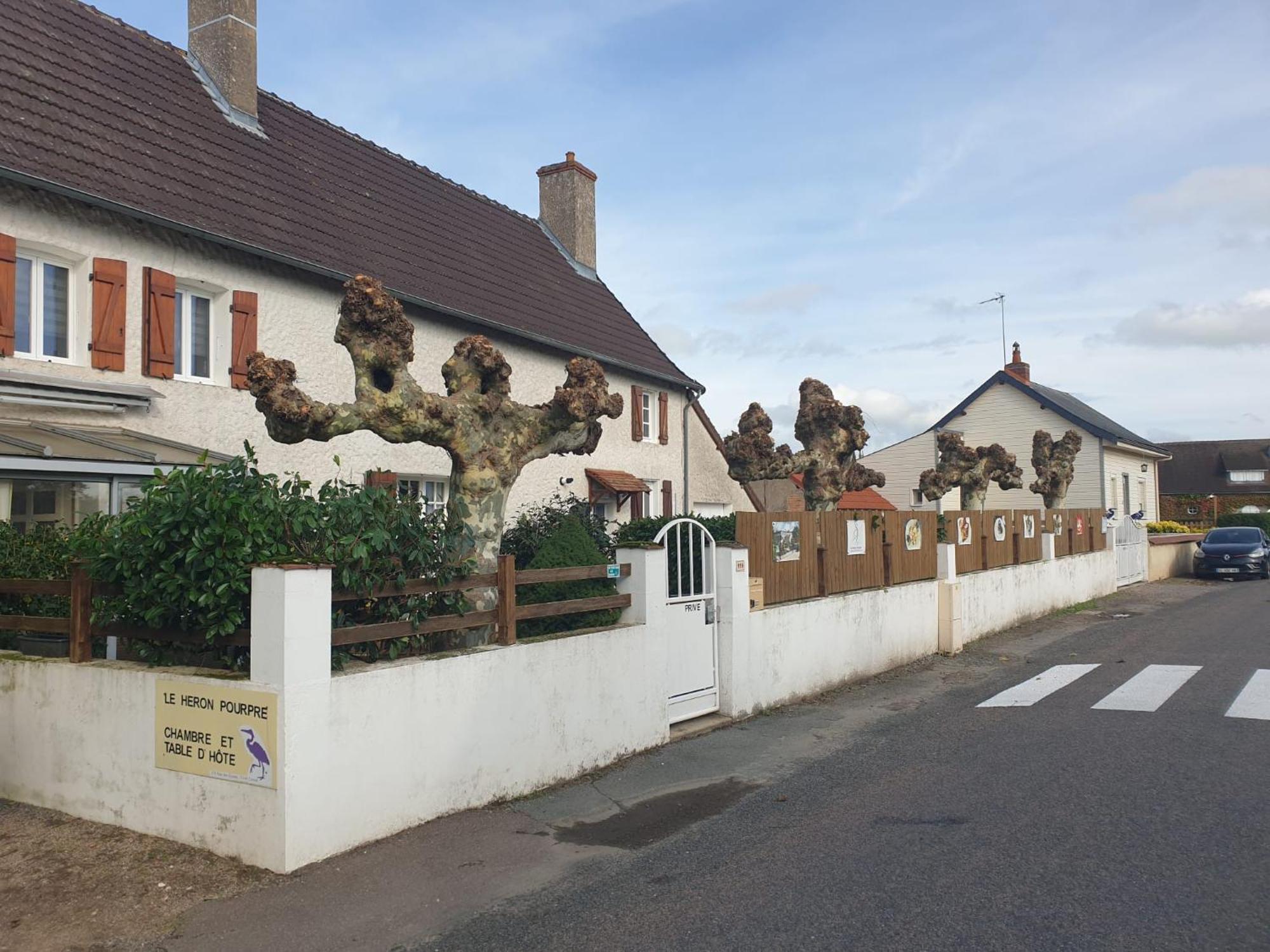 Le Heron Pourpre B&B Gastronomique Cronat 외부 사진
